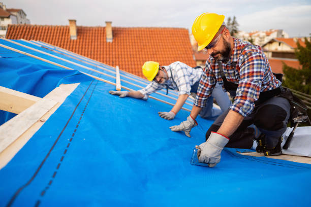 Best Roof Maintenance  in USA